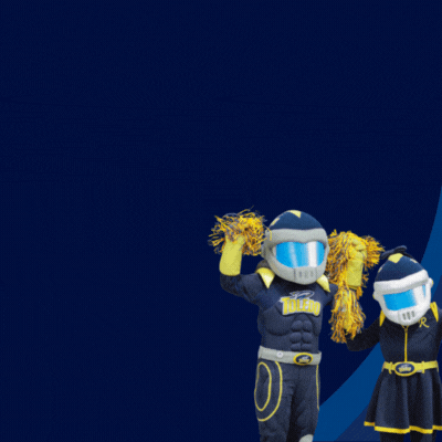 University of Tampa dynamic gif popover